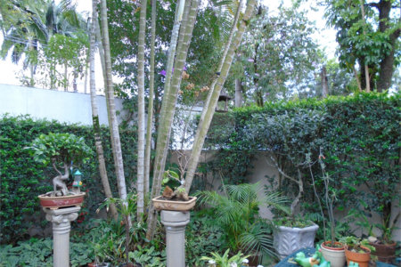 Casa Térrea à venda com 3 quartos, sendo 1 suíte,  em Alto da Boa Vista, São Paulo, SP