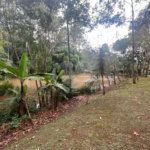 Casa à venda com 4 suítes no condomínio Parque Petrópolis 4 Secção, Mairiporã - SP
