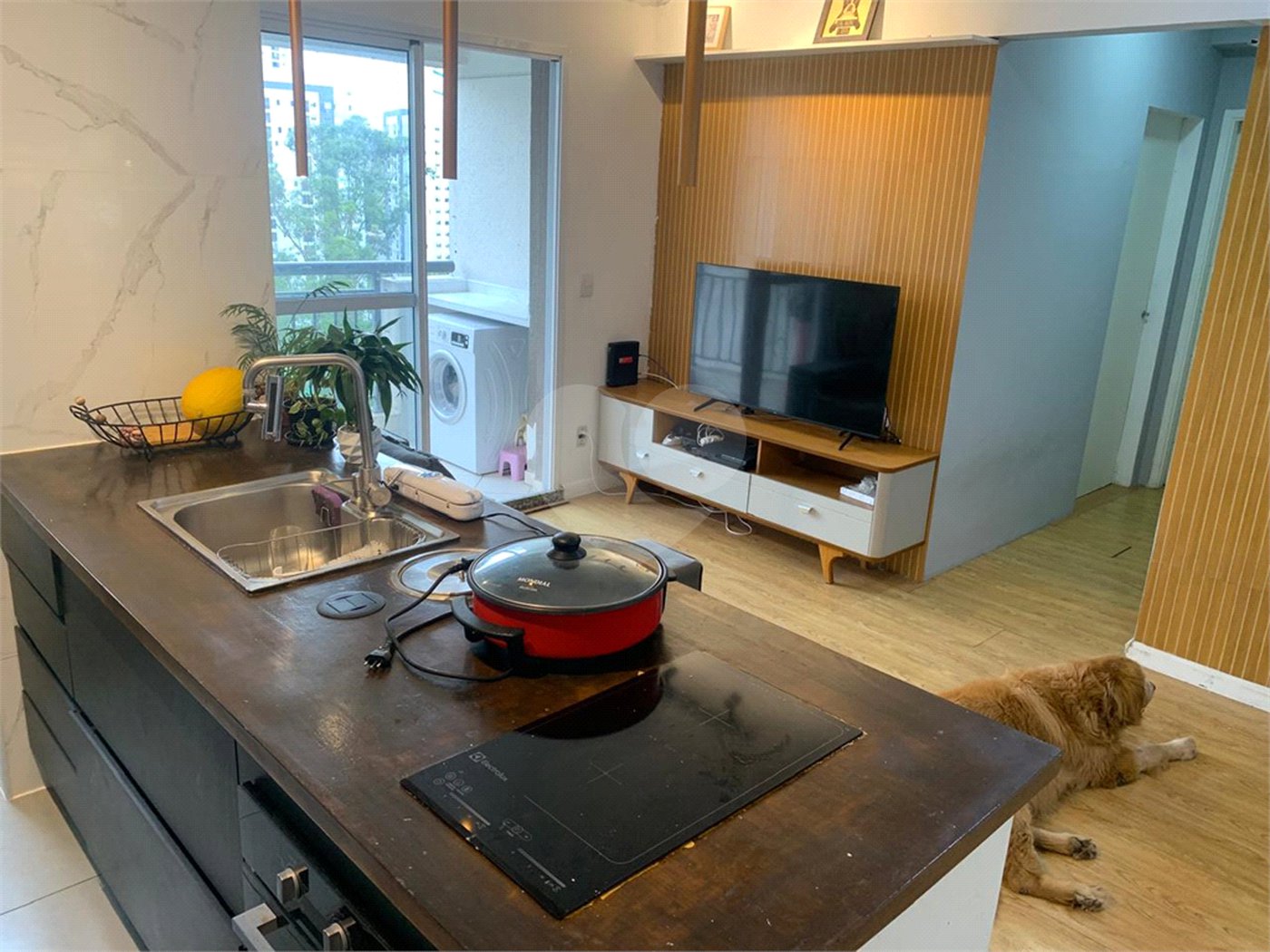 Apartamento à venda com 2 quartos em Parque Reboucas, São Paulo, SP
