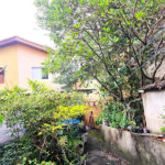 Casa à venda com 3 quartos, sendo 1 suíte, em Horto Florestal, São Paulo, SP