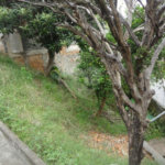 Terreno à venda no condomínio Terreno - Rua Catileias, 150, São Paulo - SP