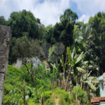 Terreno à venda em Tremembé, São Paulo, SP