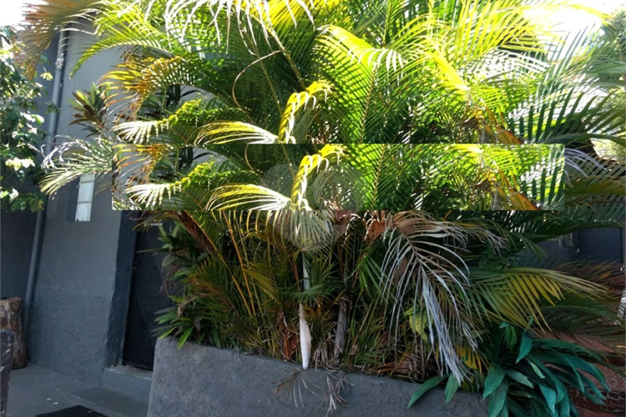 Casa à venda com 5 quartos, sendo 1 suíte,  em Santana, São Paulo, SP