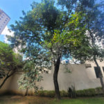 Apartamento à venda com 3 quartos em Santana, São Paulo, SP