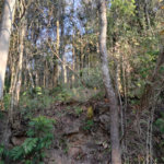 Terreno à venda em Serra da Cantareira, Mairiporã, SP
