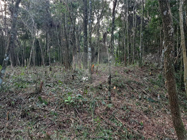 Terreno à venda em Roseira, Mairiporã, SP