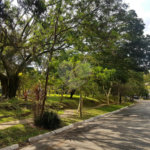 Sobrado à venda com 3 quartos, sendo 2 suítes, em Chácara Monte Alegre, São Paulo, SP