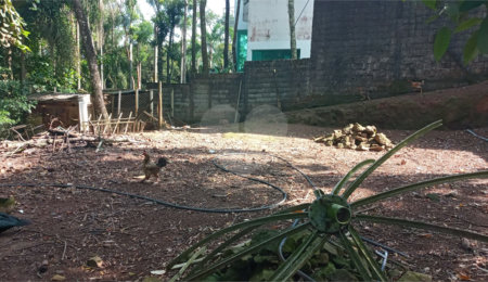 Terreno à venda no condomínio Residencial Bosque da Serra, Mairiporã - SP