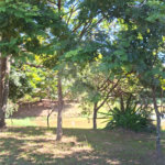 Terreno à venda em Jardim Europa II, Indaiatuba, SP
