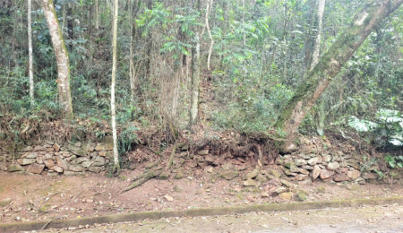 Terreno à venda em Serra da Cantareira, Mairiporã, SP