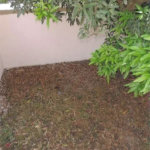 Sobrado à venda com 4 quartos em Vila Ipojuca, São Paulo, SP