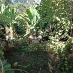 Casa à venda com 5 quartos, sendo 1 suíte, em Jardim Itália, Itapetininga, SP