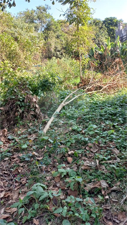 Terreno à venda em Vila Tramontano, São Paulo, SP