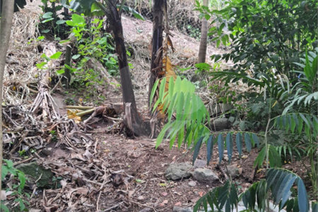 Loteamento à venda em Jardim Amália, São Paulo, SP