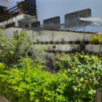 Casa Térrea à venda ou para alugar com 8 quartos, sendo 4 suítes, em Vila Pereira Barreto, São Paulo, SP