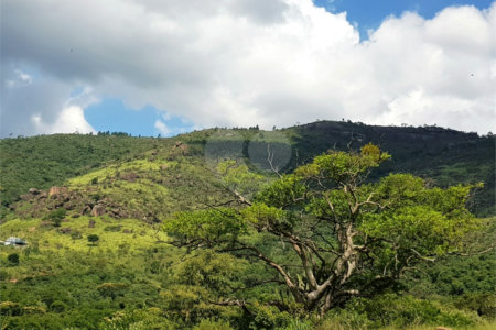 Terreno à venda em Jardim Maristela, Atibaia, SP