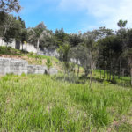 Terreno à venda em São Vicente, Mairiporã, SP