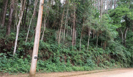 Terreno à venda no Centro (mailasqui), São Roque, SP