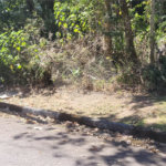 Condomínio à venda em Serra da Cantareira, Mairiporã, SP