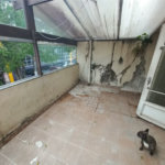 Sobrado à venda com 3 quartos, sendo 1 suíte,  em Jardim Helga, São Paulo, SP