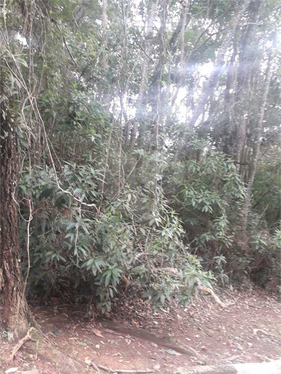 Terreno à venda em Suasalito, Mairiporã, SP