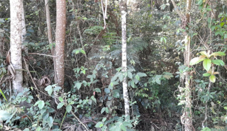 Terreno à venda em Roseira, Mairiporã, SP