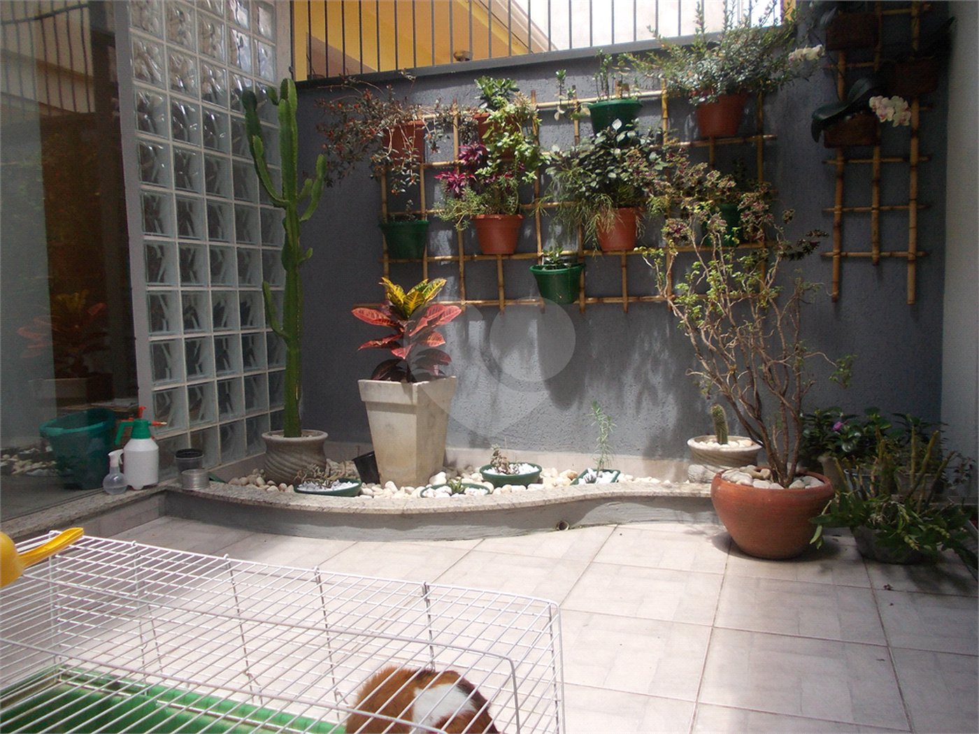 Sobrado à venda com 3 quartos, sendo 1 suíte, em Mandaqui, São Paulo, SP