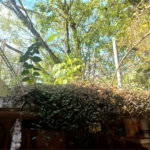 Casa à venda com 3 quartos, sendo 2 suítes,  em Morumbi, São Paulo, SP