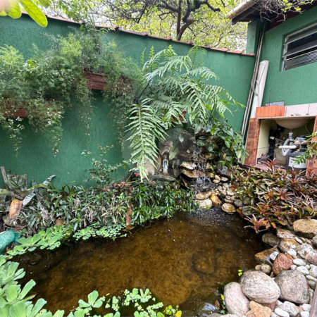 Casa à venda ou para alugar com 4 quartos, sendo 2 suítes, em Vila Mazzei, São Paulo, SP