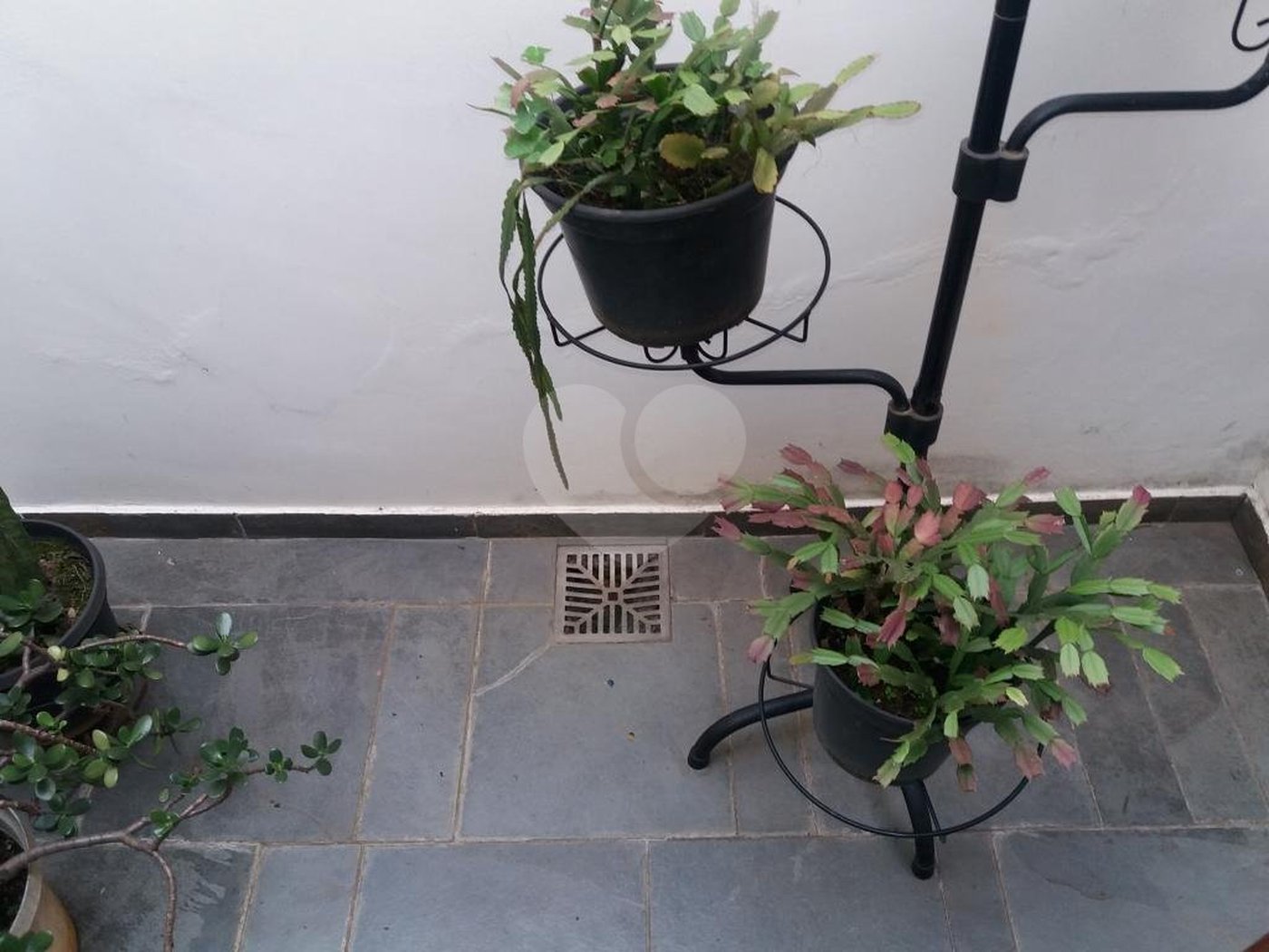 Sobrado à venda com 4 quartos, sendo 1 suíte,  em Brooklin Paulista, São Paulo, SP