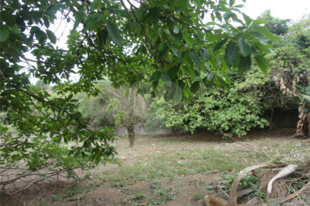 Terreno à venda em Pinheirinho, Vinhedo, SP
