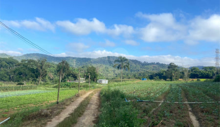 Terreno à venda em Parque Santa Rosa, Suzano, SP