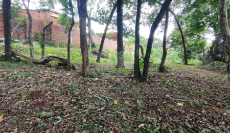 Terreno à venda em Jardim Bandeirantes, Sorocaba, SP