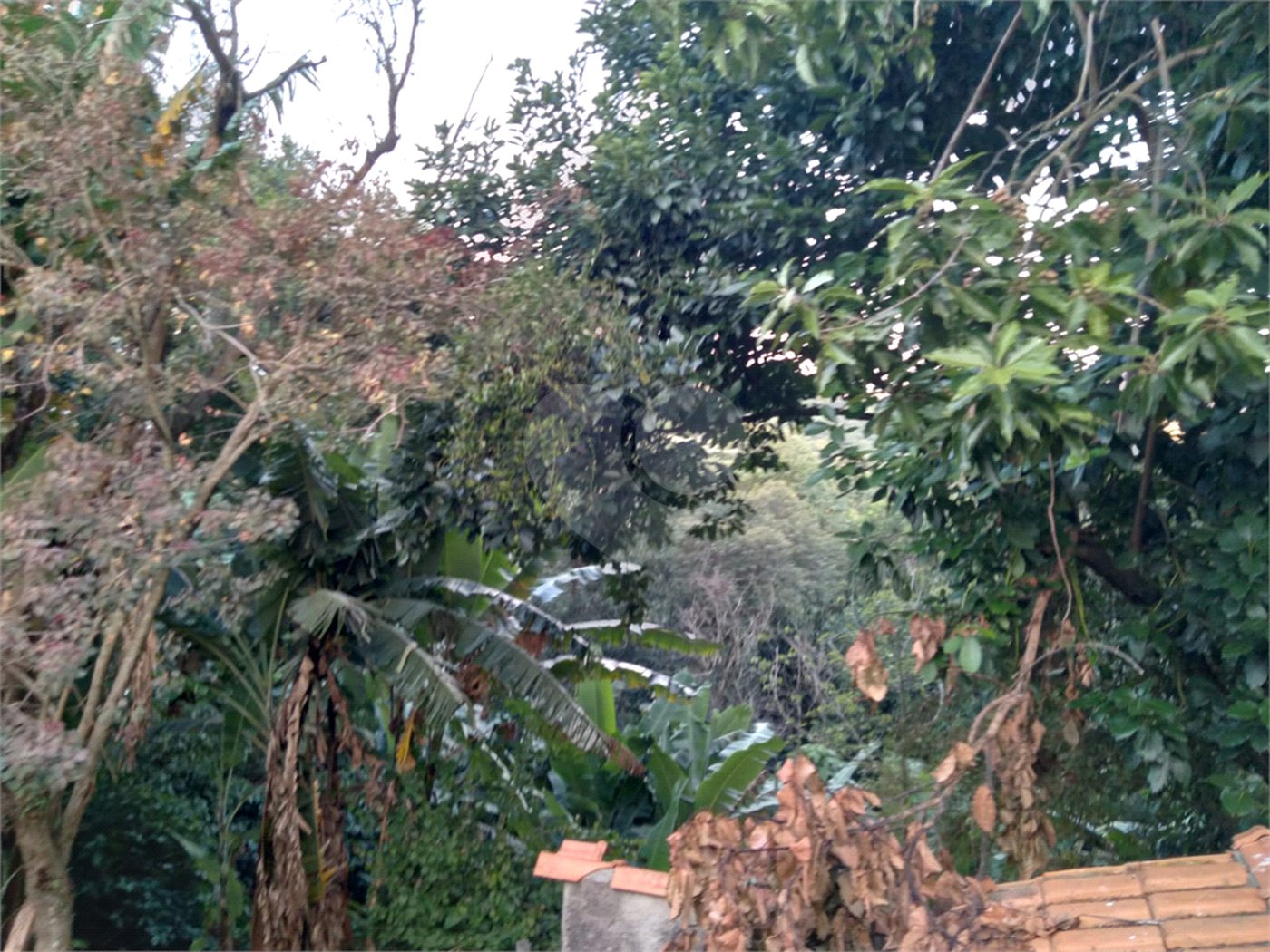 Terreno à venda em Jaraguá, São Paulo, SP