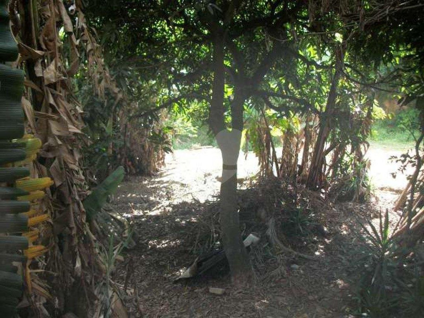 Terreno à venda em Jardim Jussara, São Paulo, SP