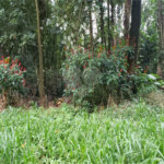 Terreno à venda em Serra da Cantareira, Mairiporã, SP
