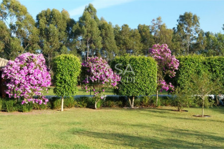 Casa em condomínio à venda ou para alugar com 4 suítes no Centro, Cesário Lange, SP