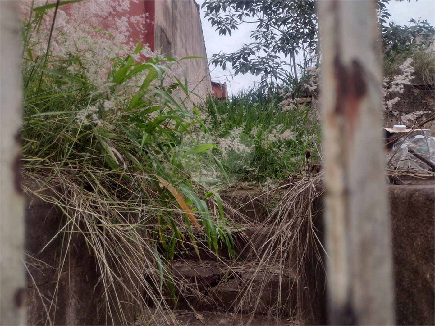 Terreno com 421 m², localizado no centro de São Carlos