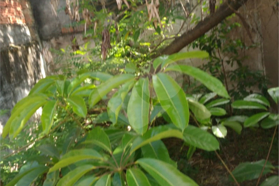 Terreno à venda em Jaçanã, São Paulo, SP