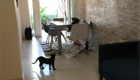 Sobrado à venda com 3 quartos, sendo 1 suíte,  em Vila Ipojuca, São Paulo, SP