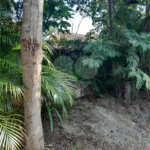 Casa à venda com 2 quartos em Jardim Semiramis, Cotia, SP