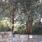 Terreno à venda ou para alugar em Vila Andrade, São Paulo, SP