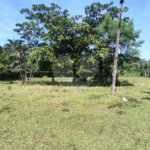Terreno à venda em Campestre, Piracicaba, SP