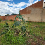 Terreno à venda em Parque Alvorada, Araraquara, SP