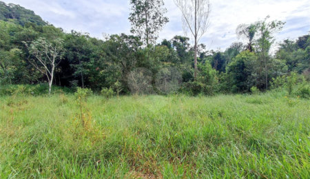 Terreno à venda em Residencial Reserva da Mata, Itapetininga, SP