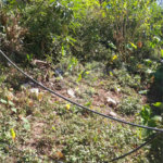 Terreno à venda em Tremembé, São Paulo, SP