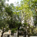 Apartamento à venda com 4 suítes em Campo Belo, São Paulo, SP