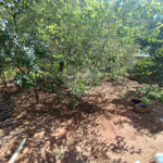 Chácara à venda com 7 quartos, sendo 1 suíte, no Centro (mailasqui), São Roque, SP