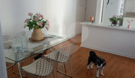 Apartamento à venda com 2 quartos, sendo 1 suíte, em Vila Mazzei, São Paulo, SP