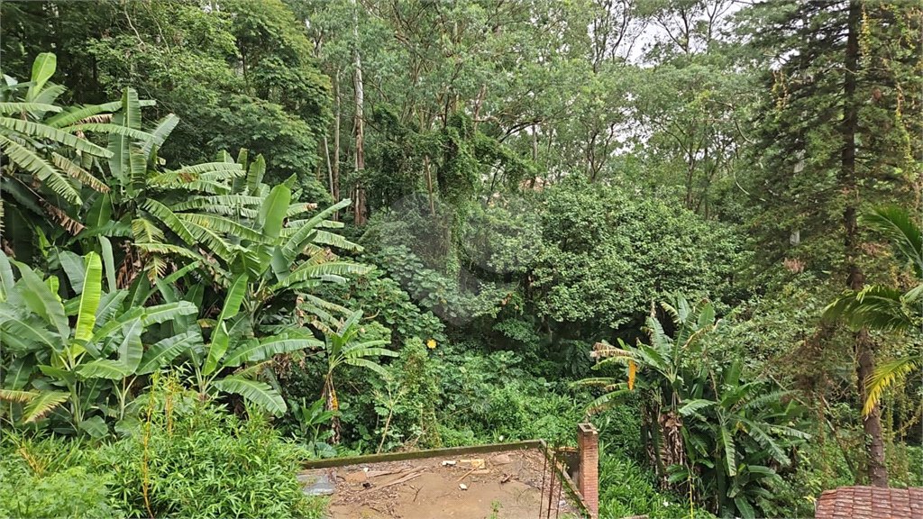 Terreno à venda em Vila Albertina, São Paulo, SP